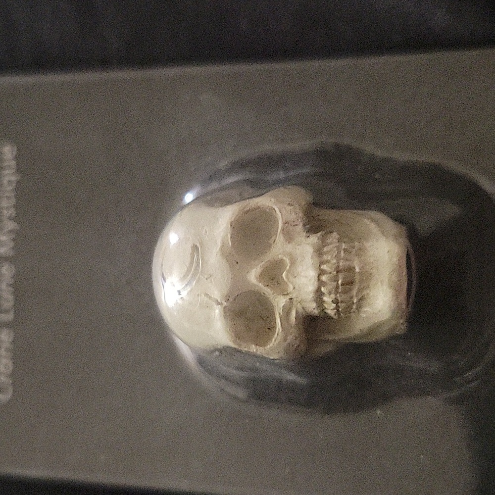 Tiny Homes Skull Mini Decoration. Fixed Price
